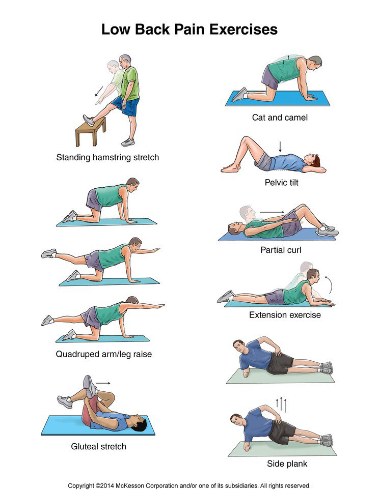 Loer back exercises